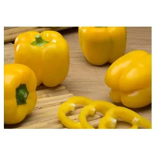 Compra PIMIENTO MINGOTE F-1 (1.000 Semillas). en la tienda online Fito Agrícola