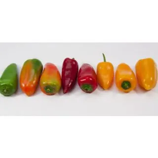 Compra PIMIENTO SNACKING AMARILLO EPS104 en la tienda online Fito Agrícola