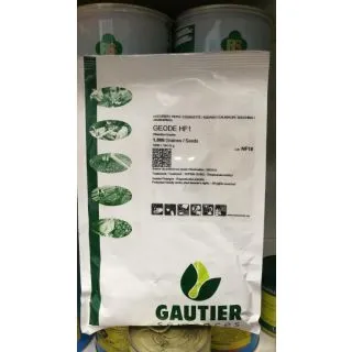 Compra CALABACÍN GEODE F1 (1.000 Semillas) en la tienda online Fito Agrícola