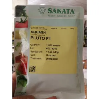 Compra CALABAZA PLUTO F1 (1000 Semillas). en la tienda online Fito Agrícola
