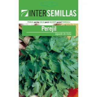 Compra PEREJIL GIGANTE DE ITALIA ECOLÓGICO (500 gr.). en la tienda online Fito Agrícola