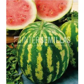 Compra SANDÍA CRIMSON SWEET ECOLOGICA (500 gr.). en la tienda online Fito Agrícola