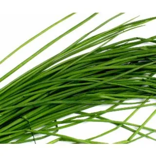 Compra CEBOLLINO GRUESO (1 Kgr.). en la tienda online Fito Agrícola