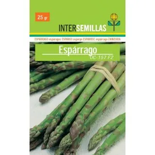 Compra ESPÁRRAGO UC 157 F2 (100 gr.). en la tienda online Fito Agrícola