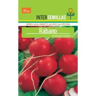 Compra RABANITO REDONDO CRIMSON GIANT (500 gr.). en la tienda online Fito Agrícola