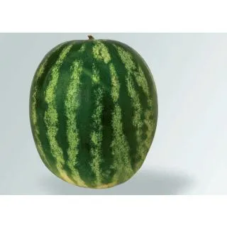 Compra SANDÍA ADMIRA F1 (1.000 Semillas) en la tienda online Fito Agrícola