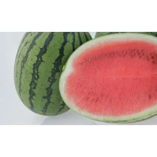 Compra SANDÍA PREMIUM F1 Pregerminada (1.000 Semillas) en la tienda online Fito Agrícola