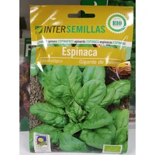 Compra ESPINACA GIGANTE DE INVIERNO ECOLÓGICA (100 gr.). en la tienda online Fito Agrícola