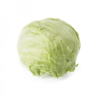 Compra LECHUGA PATAGONIA RZ Pildorada (5.000 Semillas). en la tienda online Fito Agrícola