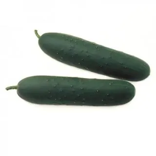 Compra PEPINO ADRIAN RZ Precisión (1.000 Semillas). en la tienda online Fito Agrícola