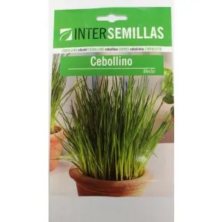 Compra CEBOLLINO MEDIO (1 gr.). en la tienda online Fito Agrícola