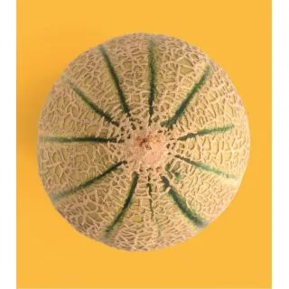 Compra NABO TOPPER F1 (Nabiza) (100 gr.). en la tienda online Fito Agrícola