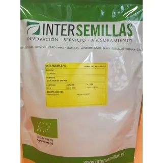 Compra CILANTRO COMÚN ECOLÓGICO (500 gr.). en la tienda online Fito Agrícola