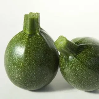 Compra CALABACÍN SATELITE F1 BIO (1.000 Semillas) en la tienda online Fito Agrícola