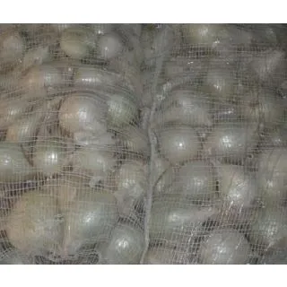 Compra CEBOLLA DE CALÇOT Variedad FABREGAT (Cerca de 25 Kgr.) en la tienda online Fito Agrícola