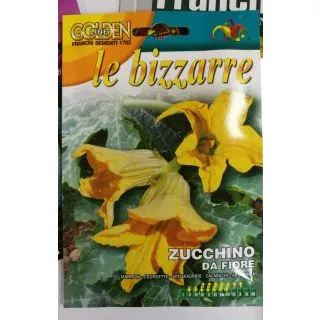 Compra CALABACÍN PARA FLORES SAN PASCUAL (3 gr.) en la tienda online Fito Agrícola