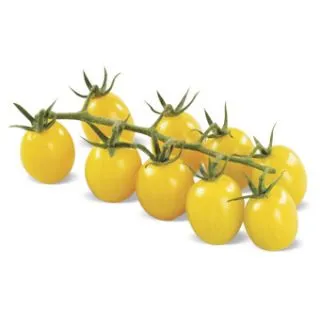 Compra TOMATE LIMONCITO F1 (1.000 Semillas) en la tienda online Fito Agrícola