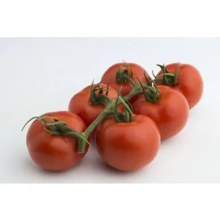 Compra TOMATE SOTOGRANDE F1 (1.000 Semillas) en la tienda online Fito Agrícola
