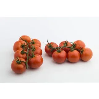 Compra TOMATE SOTOMAYOR F1 (1.000 Semillas) en la tienda online Fito Agrícola