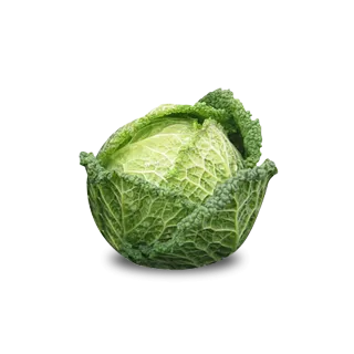 Compra COL SERPENTINE F1 (2.500 Semillas) en la tienda online Fito Agrícola