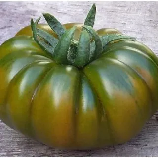 Compra TOMATE RAFFY F1 (1000 Semillas). en la tienda online Fito Agrícola