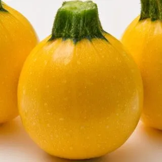 Compra CALABACÍN LUNEOR F1 BIO (1.000 Semillas) en la tienda online Fito Agrícola