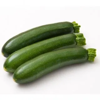 Compra CALABACÍN NORIAC F1 BIO (1.000 Semillas) en la tienda online Fito Agrícola