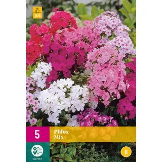 Compra PHLOX MIX XXL en la tienda online Fito Agrícola