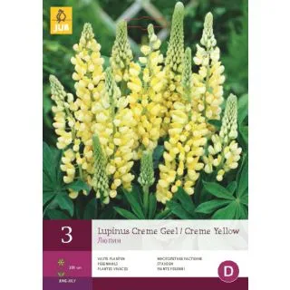 Compra LUPINUS CREAM YELLOW en la tienda online Fito Agrícola