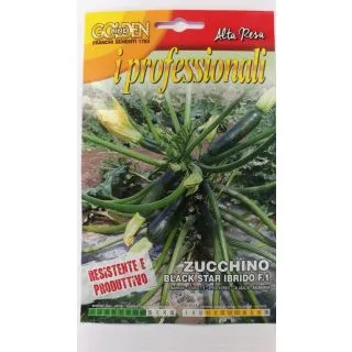 Compra CALABACÍN BLACK STAR F1 (2 gr.). en la tienda online Fito Agrícola