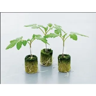 Compra TOMATE ESTAMINO F1 (5.000 Semillas) en la tienda online Fito Agrícola