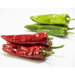 Compra PIMIENTO SPADI F1 (1.000 Semillas) en la tienda online Fito Agrícola