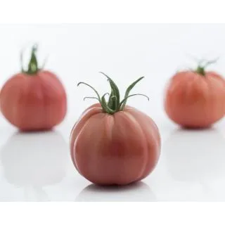 Compra TOMATE PLENAROSA F1 Vilsem (1000 Semillas) en la tienda online Fito Agrícola