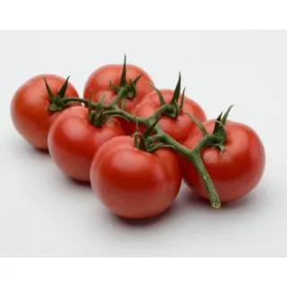 Compra TOMATE BARBARELA F1 (1000 Semillas) en la tienda online Fito Agrícola