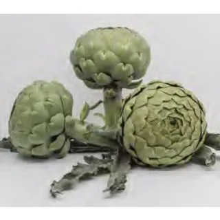 Compra ALCACHOFA SAMBO F1 (1.000 Semillas) en la tienda online Fito Agrícola