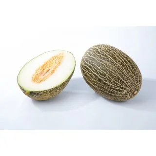 Compra MELÓN ARROYO F1 (1.000 Semillas). en la tienda online Fito Agrícola