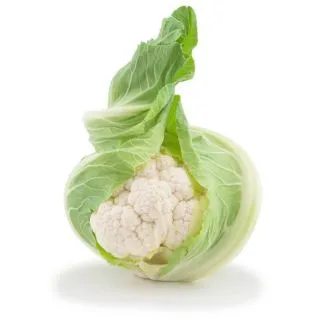 Compra COLIFLOR MERIDIEN F1 Peliculada (2.500 Semillas) en la tienda online Fito Agrícola