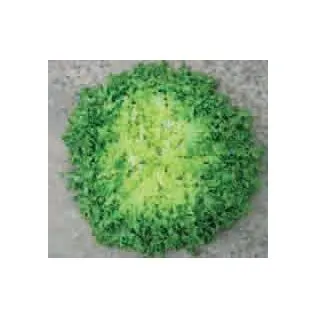 Compra ESCAROLA MAGALY (5.000 Semillas) en la tienda online Fito Agrícola