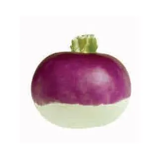 Compra NABO PLESSIS F1 (50.000 Semillas). en la tienda online Fito Agrícola