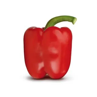 Compra PIMIENTO AITANA F1 (1000 Semillas) en la tienda online Fito Agrícola