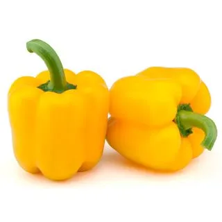 Compra PIMIENTO MORFEO F1 (1000 Semillas) en la tienda online Fito Agrícola