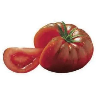 Compra H.TOMATE DELIZIA F1 EPS150 en la tienda online Fito Agrícola