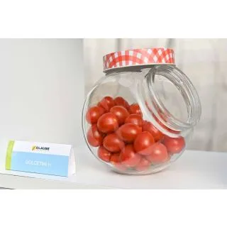 Compra TOMATE DOLCETINI F1 (1000 Semillas). en la tienda online Fito Agrícola