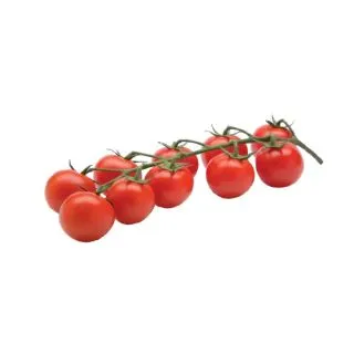 Compra TOMATE ASTUTO F1 (1000 Semillas). en la tienda online Fito Agrícola