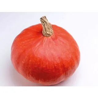 Compra CALABAZA HOT SUMMER F1 (1000 Semillas). en la tienda online Fito Agrícola