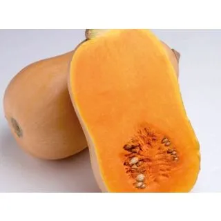 Compra CALABAZA JACQUELINE F1 (1000 Semillas). en la tienda online Fito Agrícola