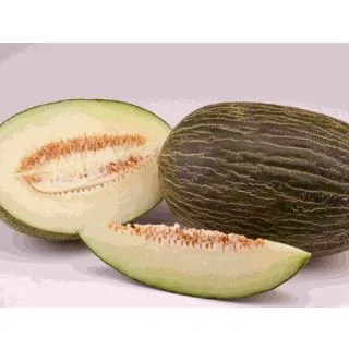 Compra MELÓN ALMADÉN F1 (1000 Semillas). en la tienda online Fito Agrícola