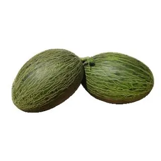 Compra MELÓN VALEOSO F1 (1000 Semillas). en la tienda online Fito Agrícola