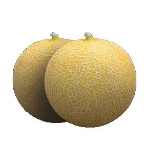 Compra MELÓN MISTRAL F1 (1000 Semillas). en la tienda online Fito Agrícola