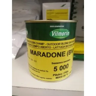 Compra LECHUGA MARADONE Píldora Sphera (5.000 Semillas) en la tienda online Fito Agrícola